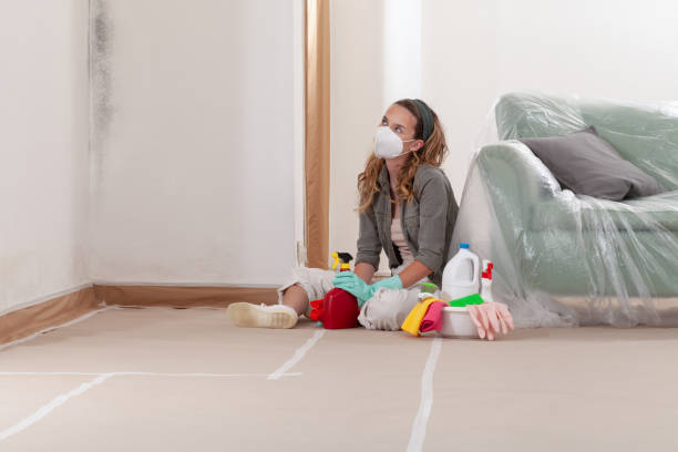 Reliable Black Mold Remediation contractor in Southlake, TX by Car Mold Remediation